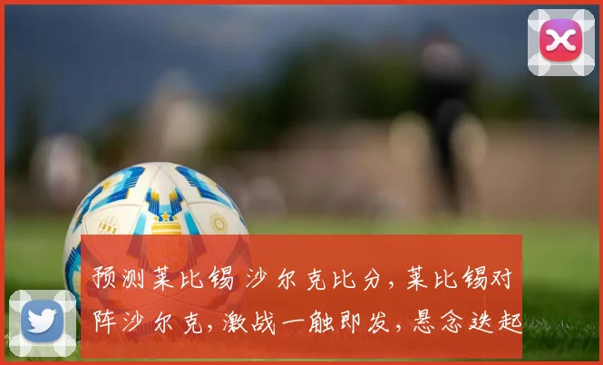 预测莱比锡 沙尔克比分,莱比锡对阵沙尔克,激战一触即发,悬念迭起