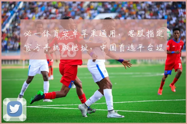 必一体育安卓苹果通用，客服指定官方手机版地址，中国首选平台逗逗逗
