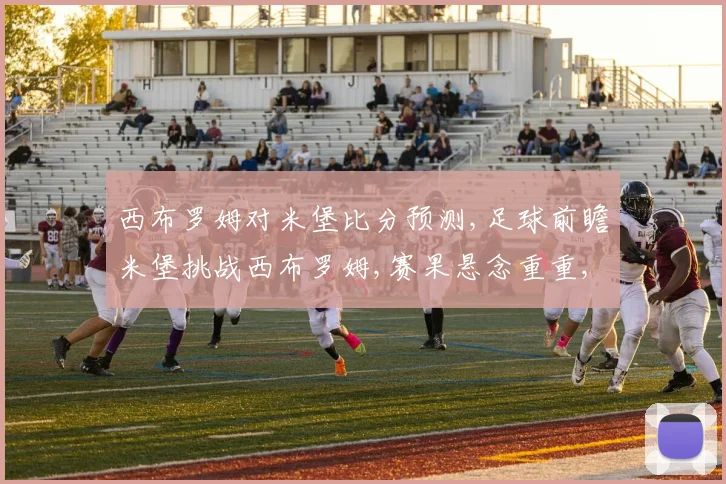 西布罗姆对米堡比分预测,足球前瞻米堡挑战西布罗姆,赛果悬念重重,谁将笑到最后