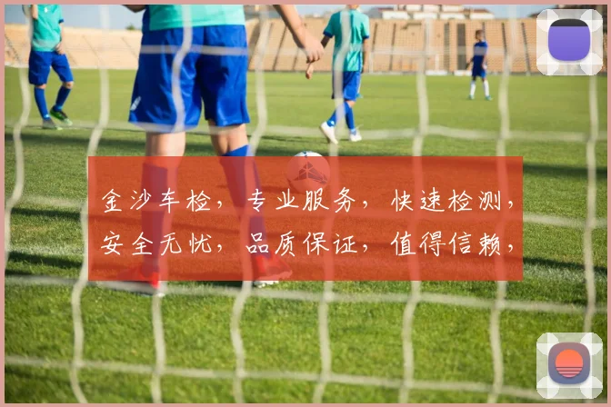 金沙车检，专业服务，快速检测，安全无忧，品质保证，值得信赖，三位一体。