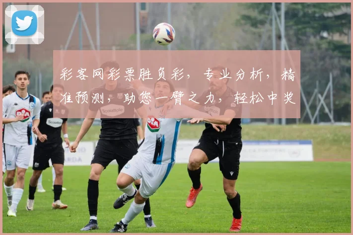 彩客网彩票胜负彩，专业分析，精准预测，助您一臂之力，轻松中奖，快乐生活