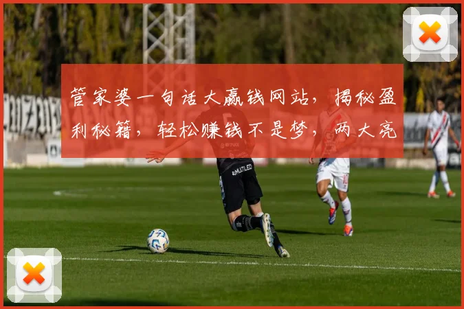 管家婆一句话大赢钱网站，揭秘盈利秘籍，轻松赚钱不是梦，两大亮点引关注